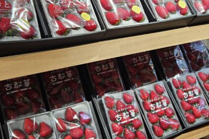 12種のいちご食べくらべ